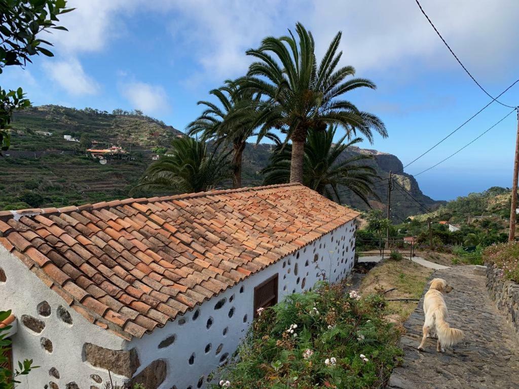 Casa Rural Emilia Villa Agulo Eksteriør billede